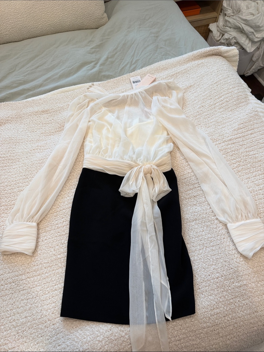 cinq a sept Ivory Sheer Blouse with Black Skirt